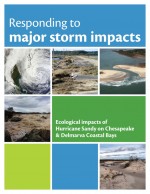 Responding to major storm impacts: ecological impacts of Hurricane Sandy on Chesapeake and Delmarva Coastal Bays Page 1