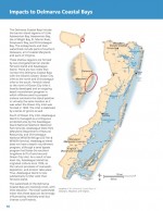 Responding to Major Storm Impacts: ecological impacts of Hurricane Sandy on Chesapeake and Delmarva Coastal Bays Page 14