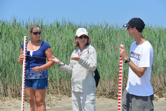 Sharon Densler, Laura Dinerman, and Dan Farren